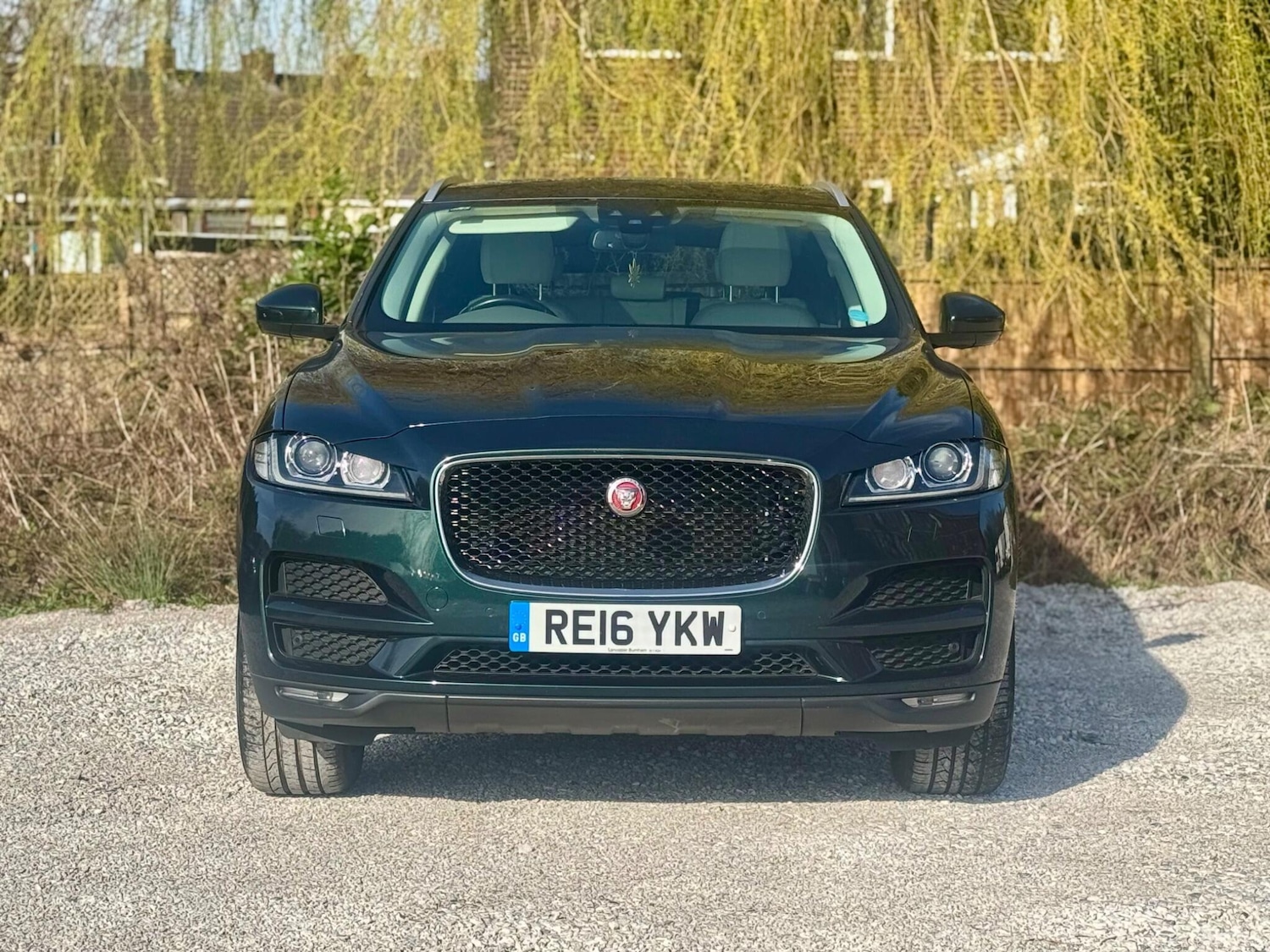 Used Jaguar F-Pace 2016 for sale - 77957568: Photo 3