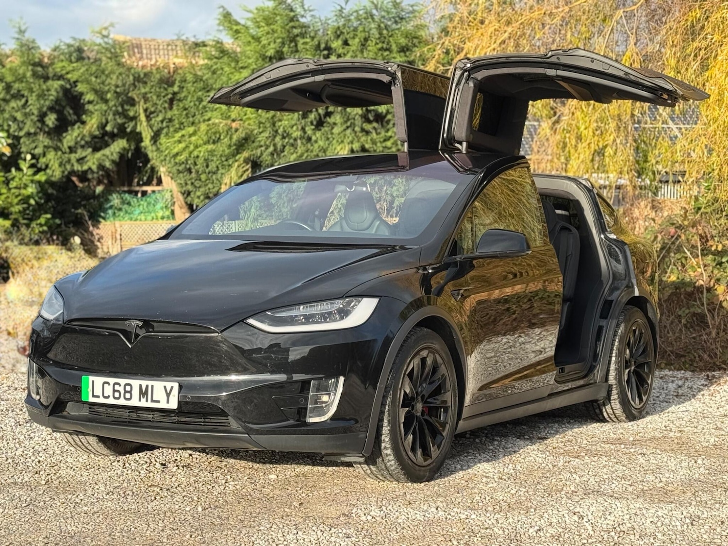 Used Tesla Model X 2018 for sale - 76727099: Photo 76