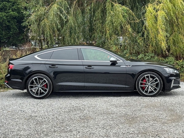 Used Audi S5 2018 for sale - 76214017: Photo 11