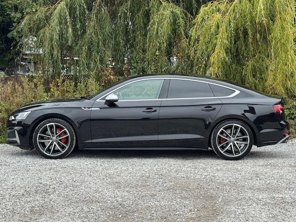Used Audi S5 2018 for sale - 76214017: Photo 13