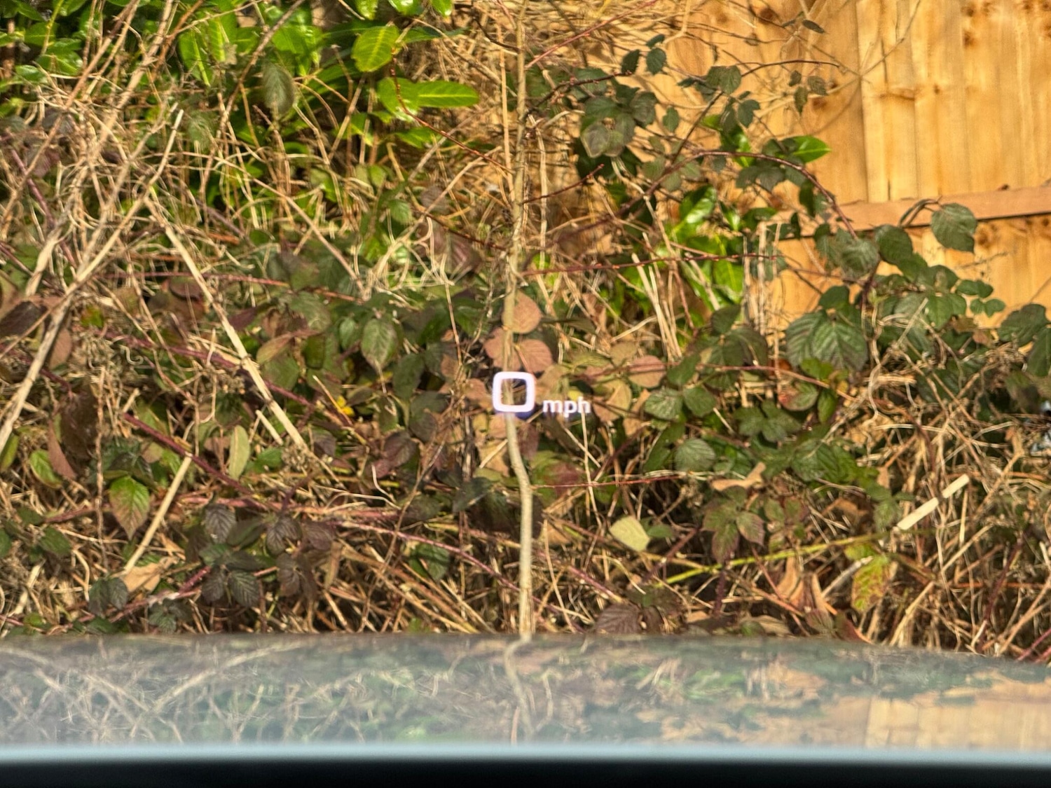 Used Audi Q7 2015 for sale - 76913160: Photo 45