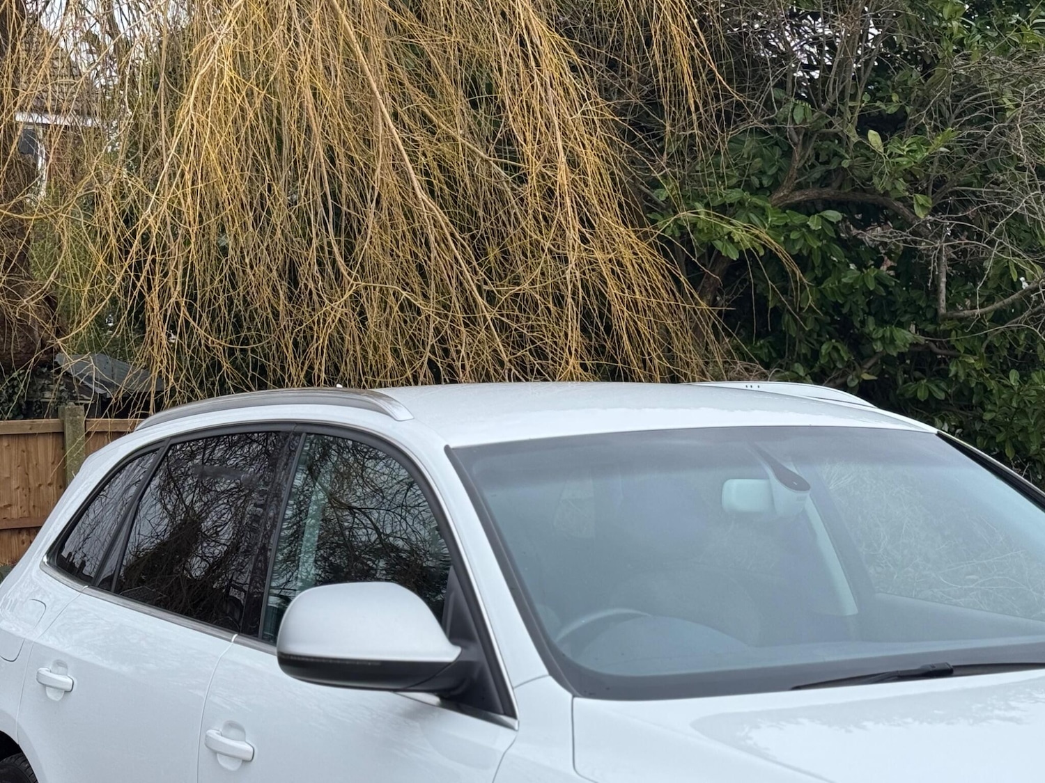 Used Audi SQ5 2014 for sale - 77203444: Photo 86