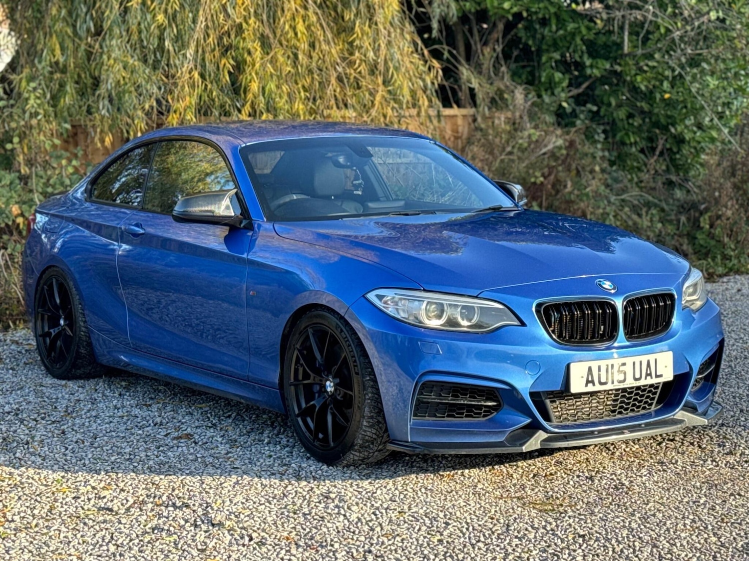 Used BMW 2 Series 2015 for sale - 76606988: Photo 3