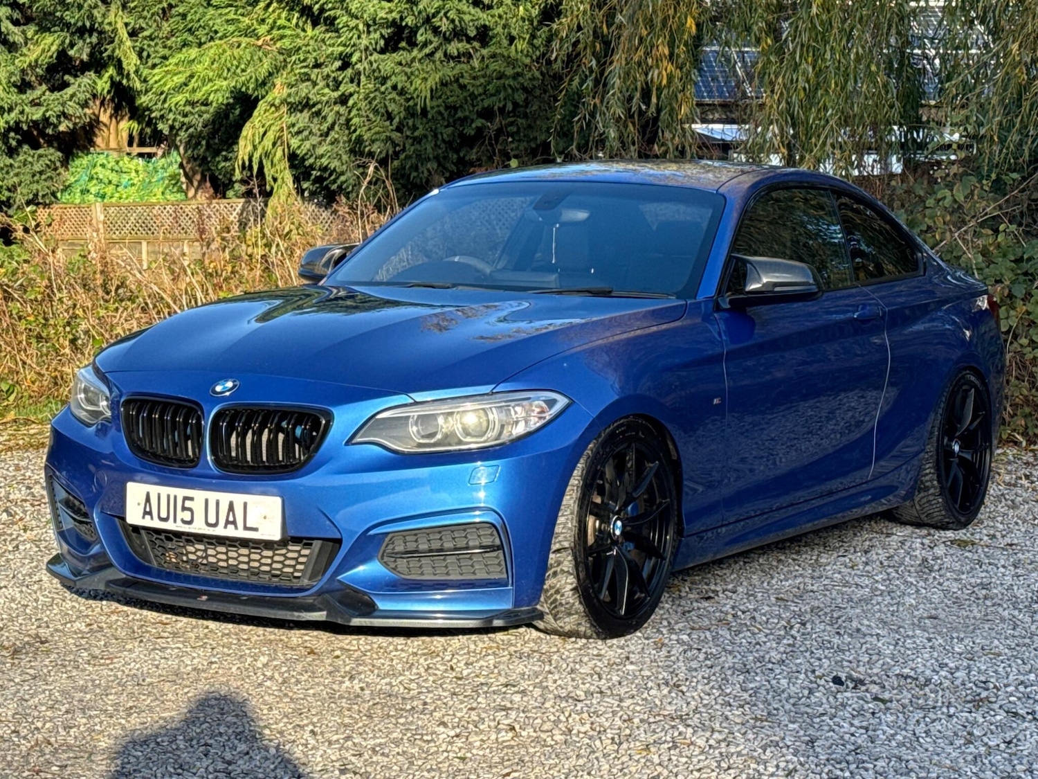 Used BMW 2 Series 2015 for sale - 76606988: Photo 6