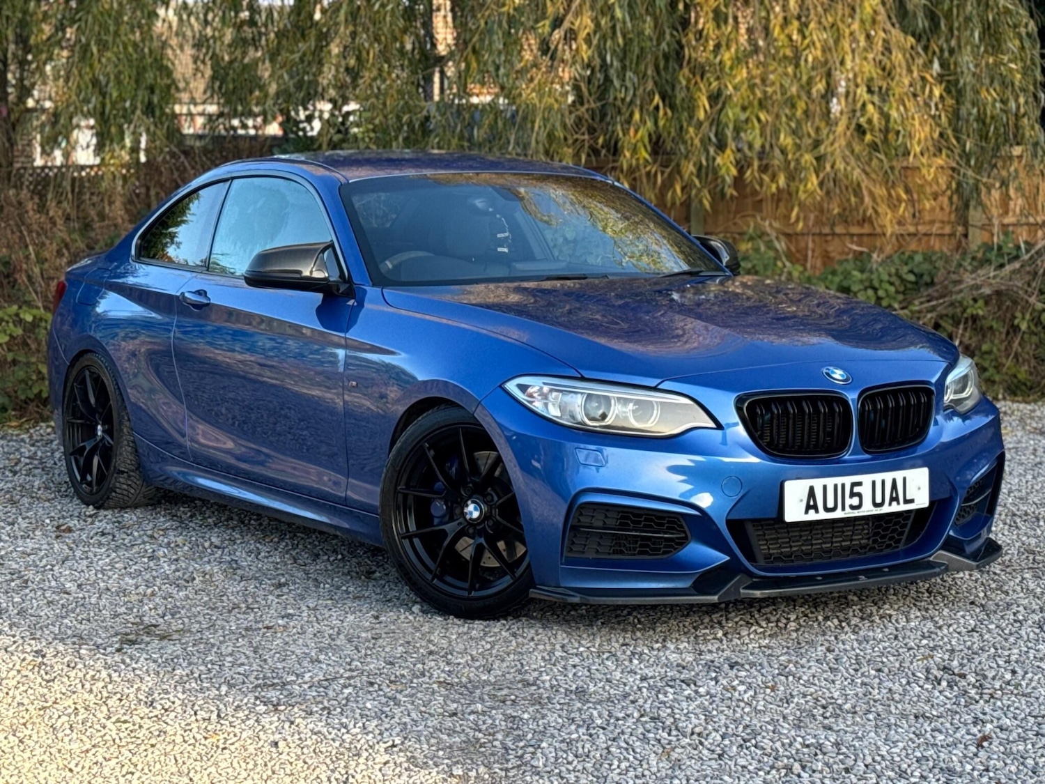 Used BMW 2 Series 2015 for sale - 76606988: Photo 66