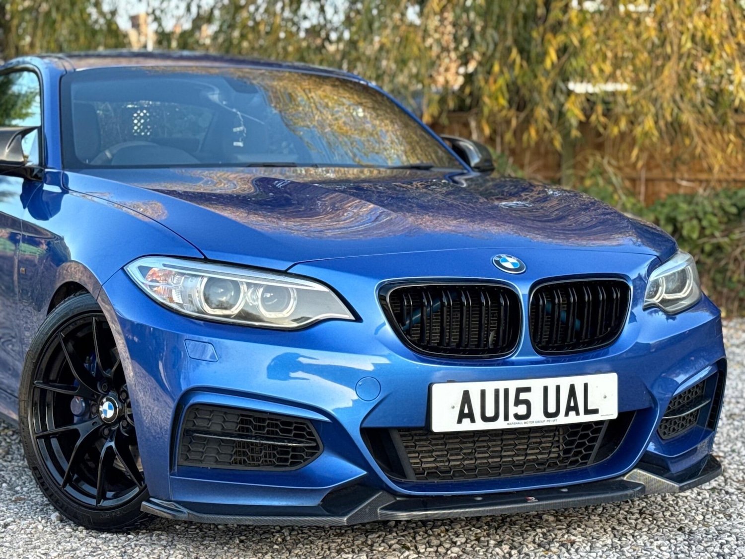 Used BMW 2 Series 2015 for sale - 76606988: Photo 67