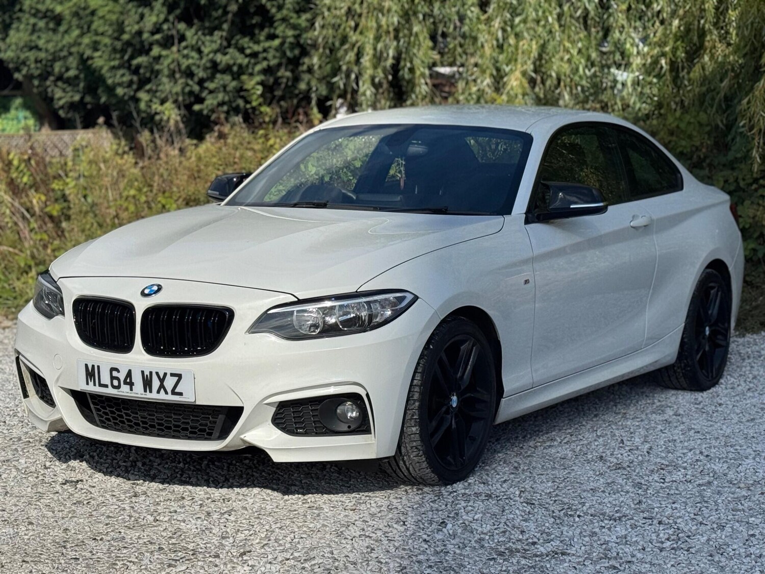 Used BMW 2 Series 2014 for sale - 75964435: Photo 58
