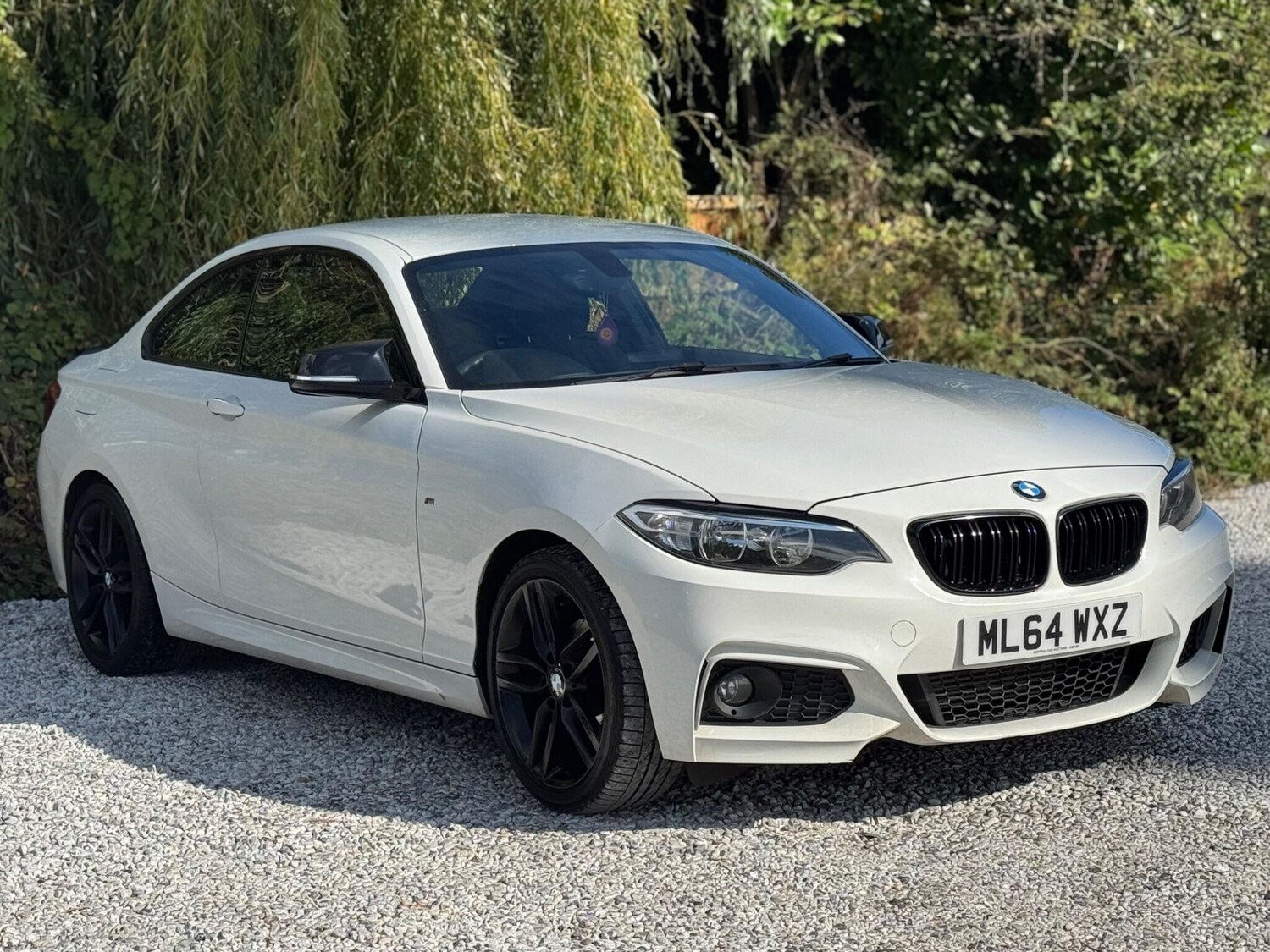 Used BMW 2 Series 2014 for sale - 75964435: Photo 60