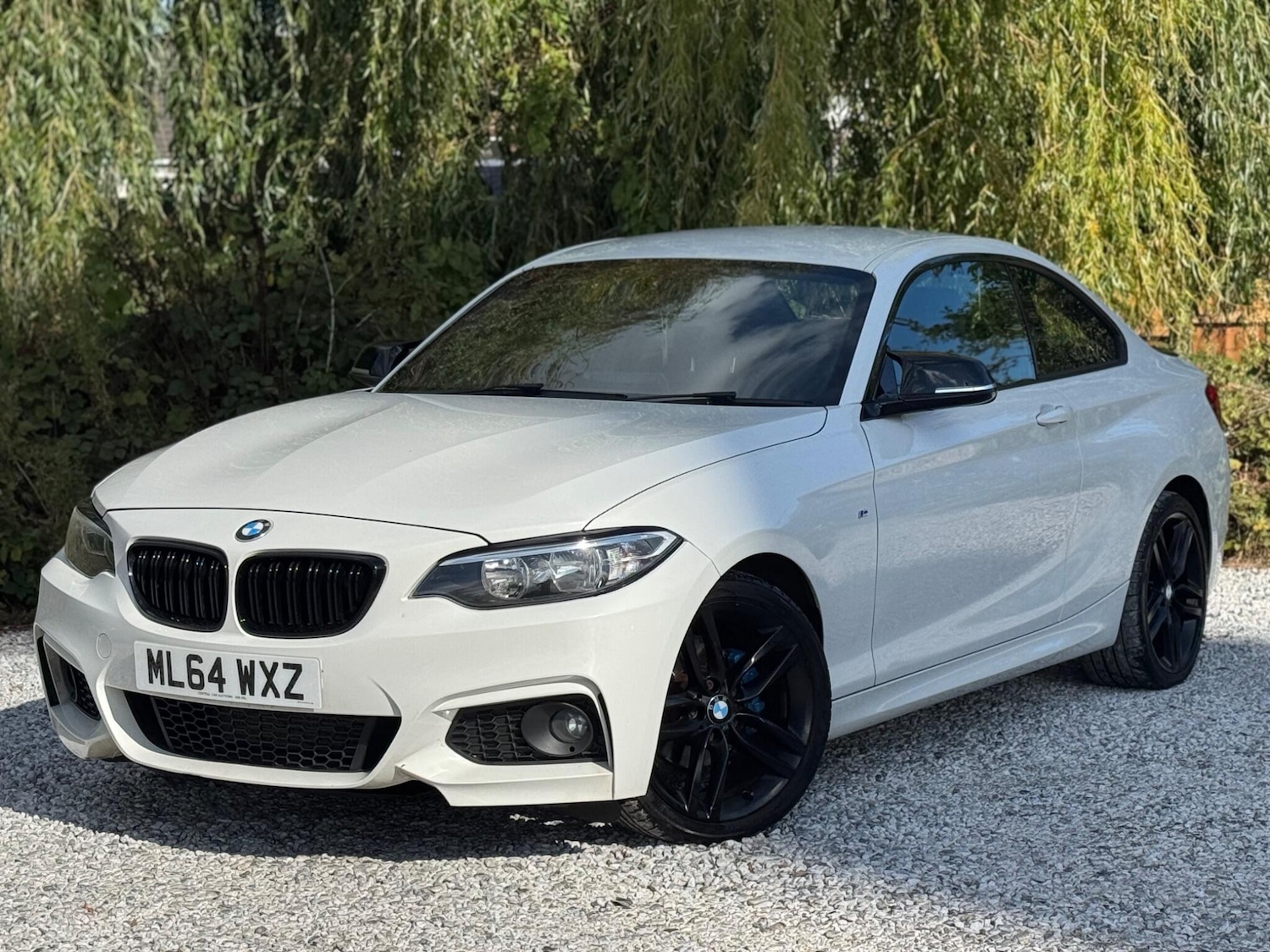 Used BMW 2 Series 2014 for sale - 75964435: Photo 62