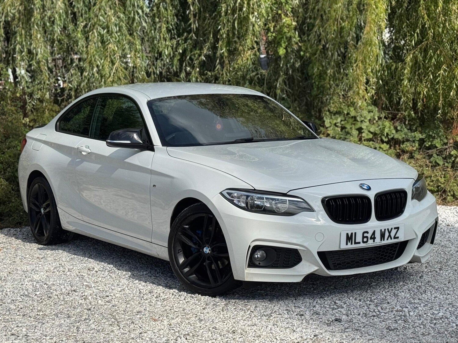 Used BMW 2 Series 2014 for sale - 75964435: Photo 64