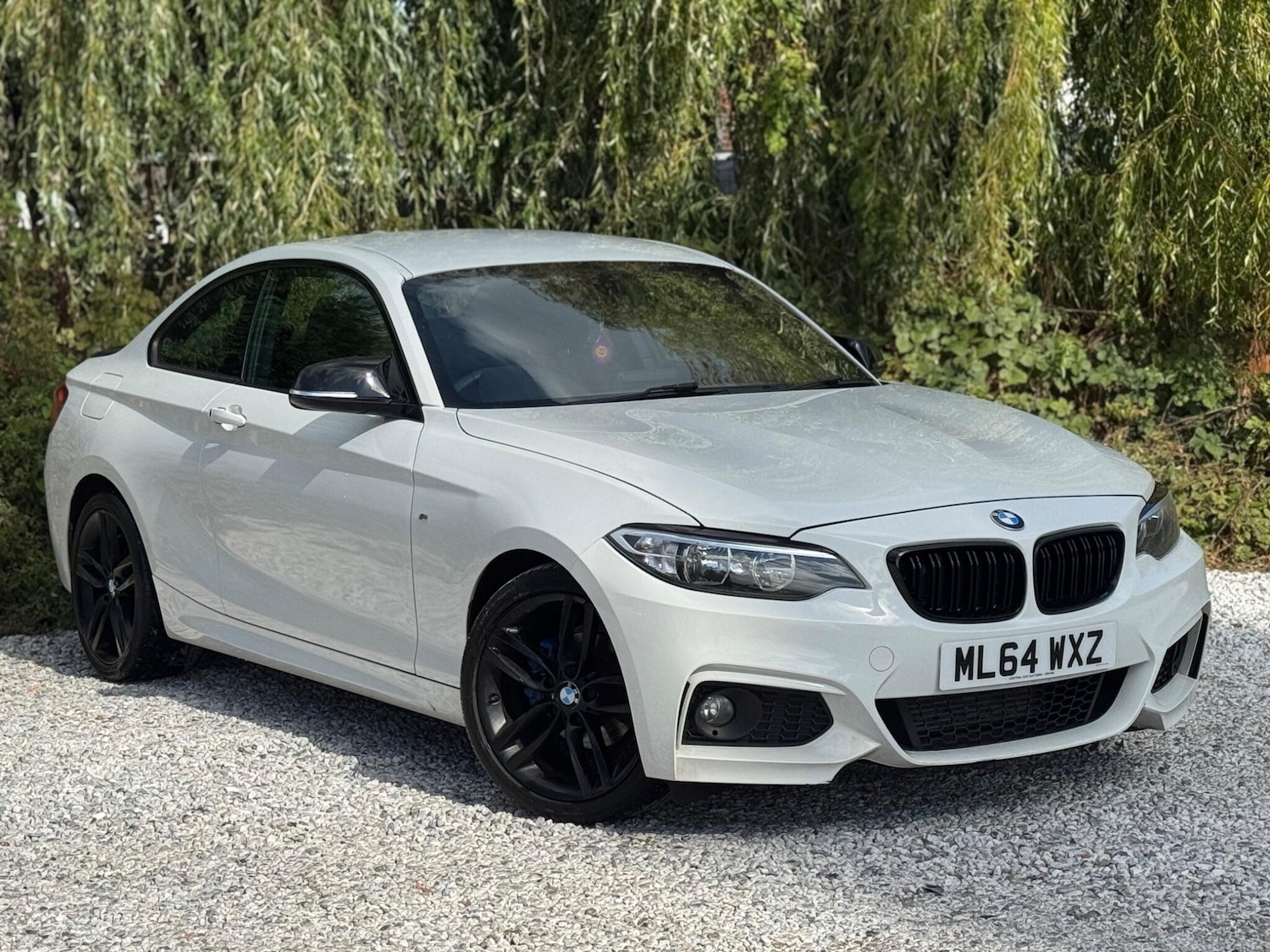 Used BMW 2 Series 2014 for sale - 75964435: Photo 66