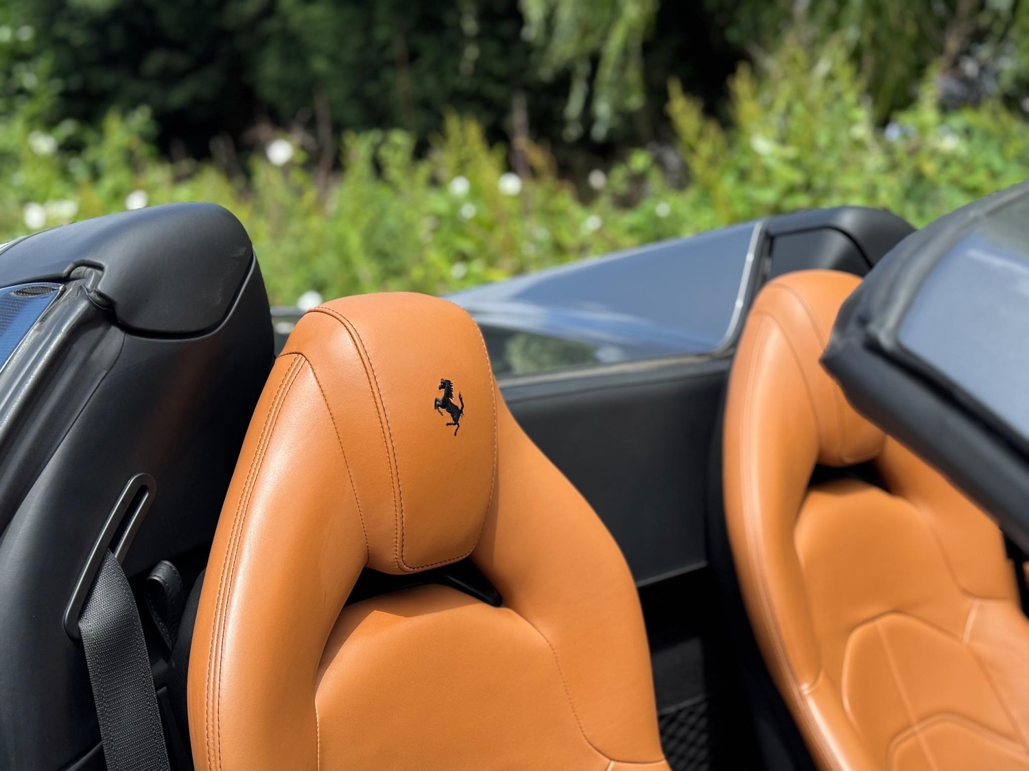 Used Ferrari 488 2016 for sale - 76991180: Photo 19