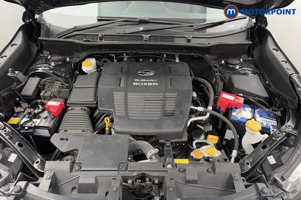 Used Subaru Forester 2024 for sale - 76222771: Photo 46
