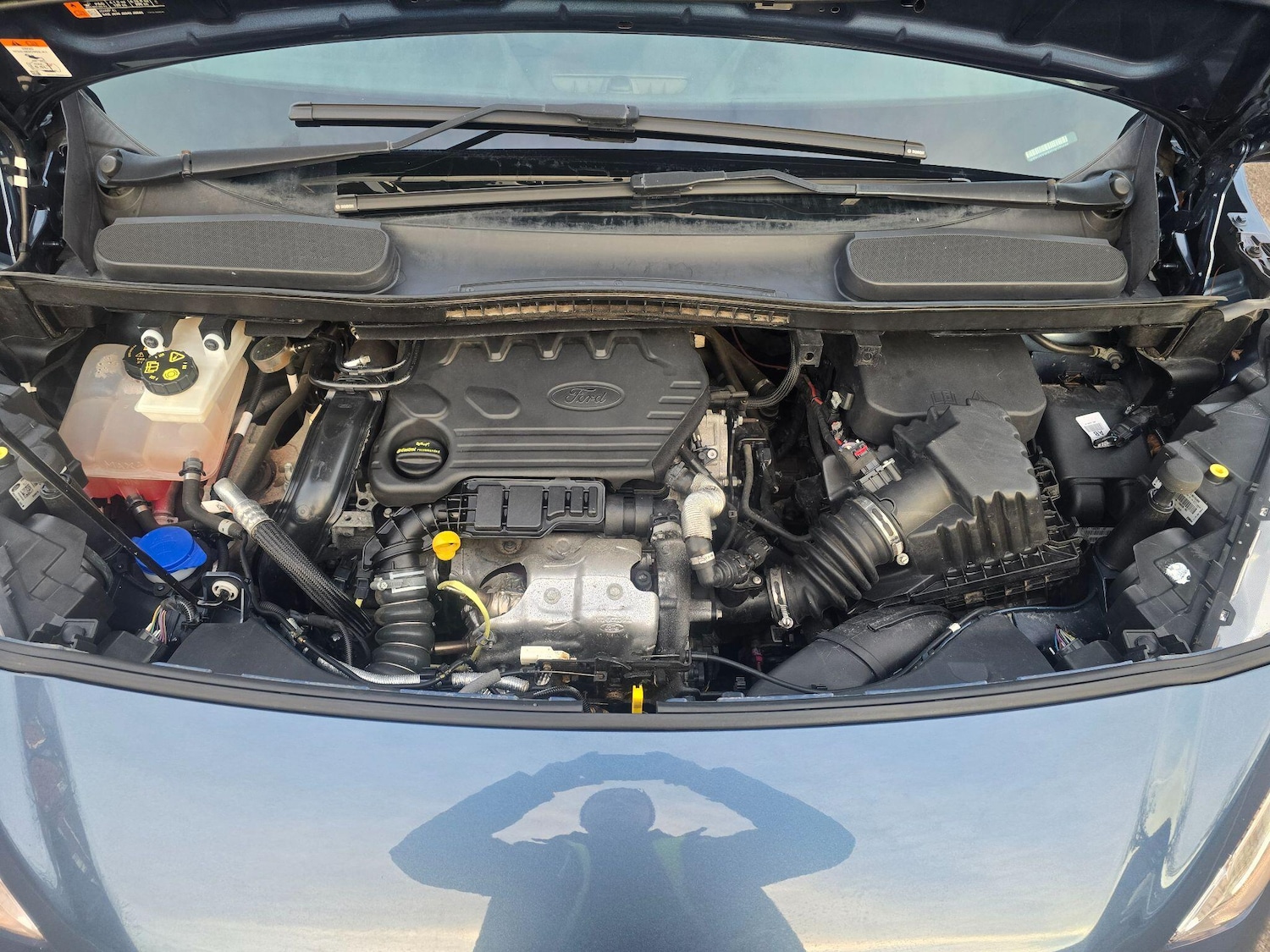 Used Ford Grand Tourneo Connect 2019 for sale - 77468271: Photo 36