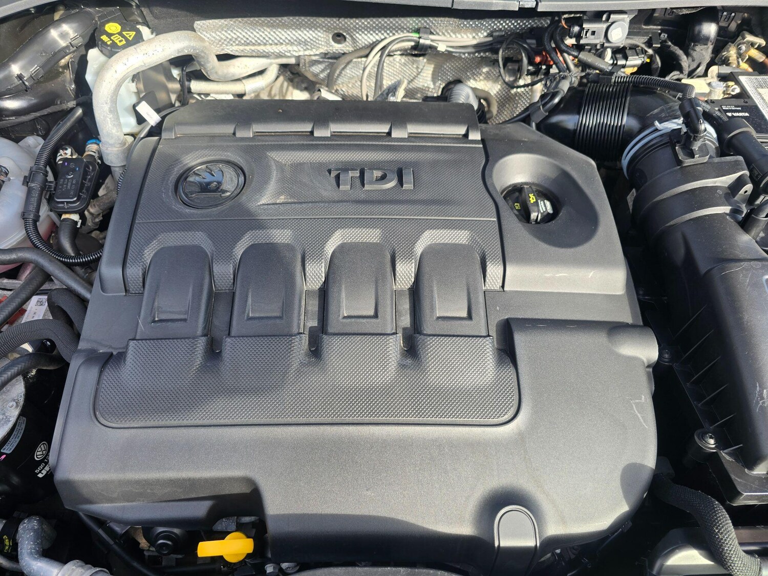 Used Skoda Kodiaq for sale - 76226967: Photo 66