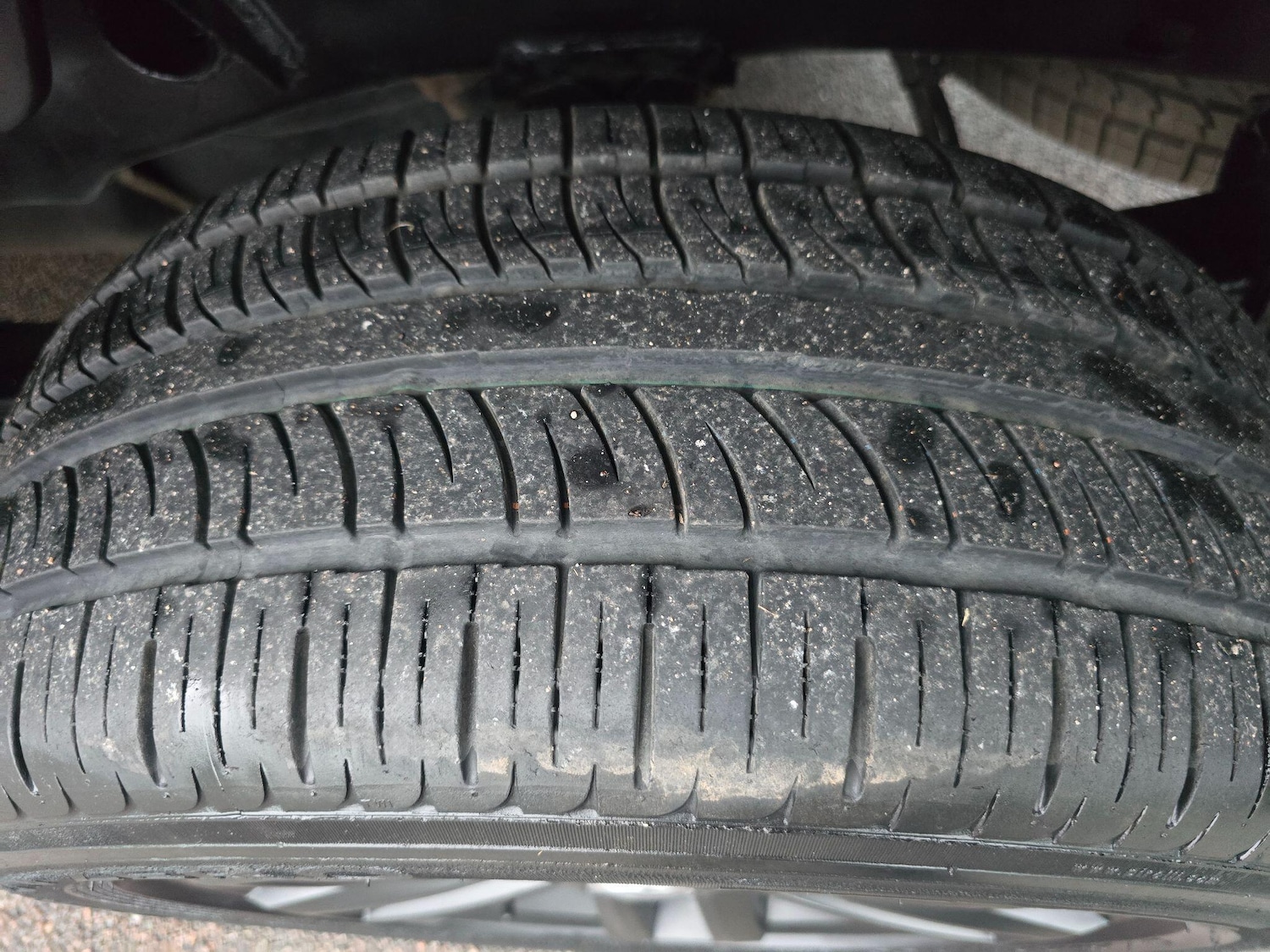 Used Volkswagen Amarok 2016 for sale - 76728645: Photo 66