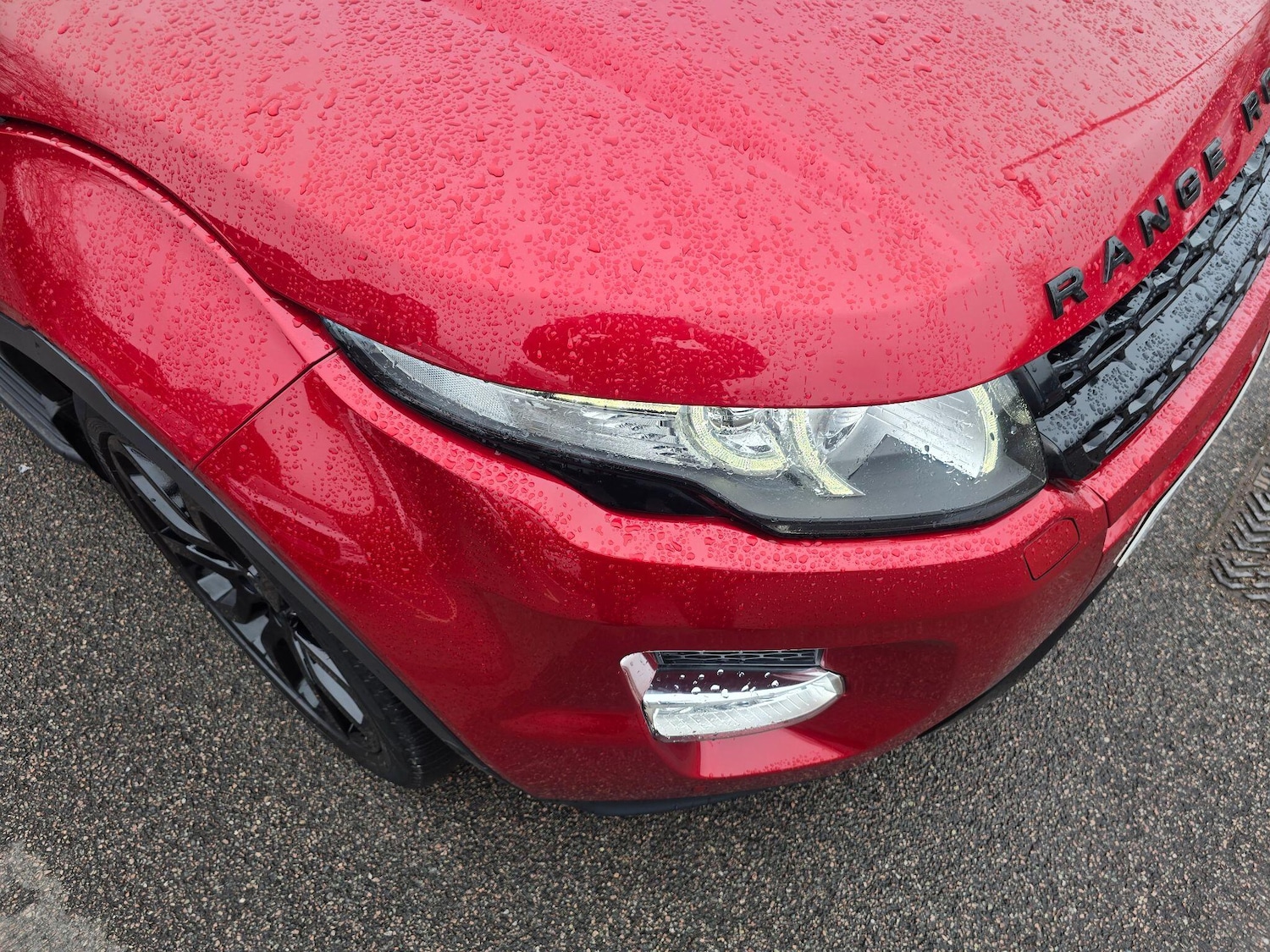 Used Land Rover Range Rover Evoque for sale - 77808238: Photo 74