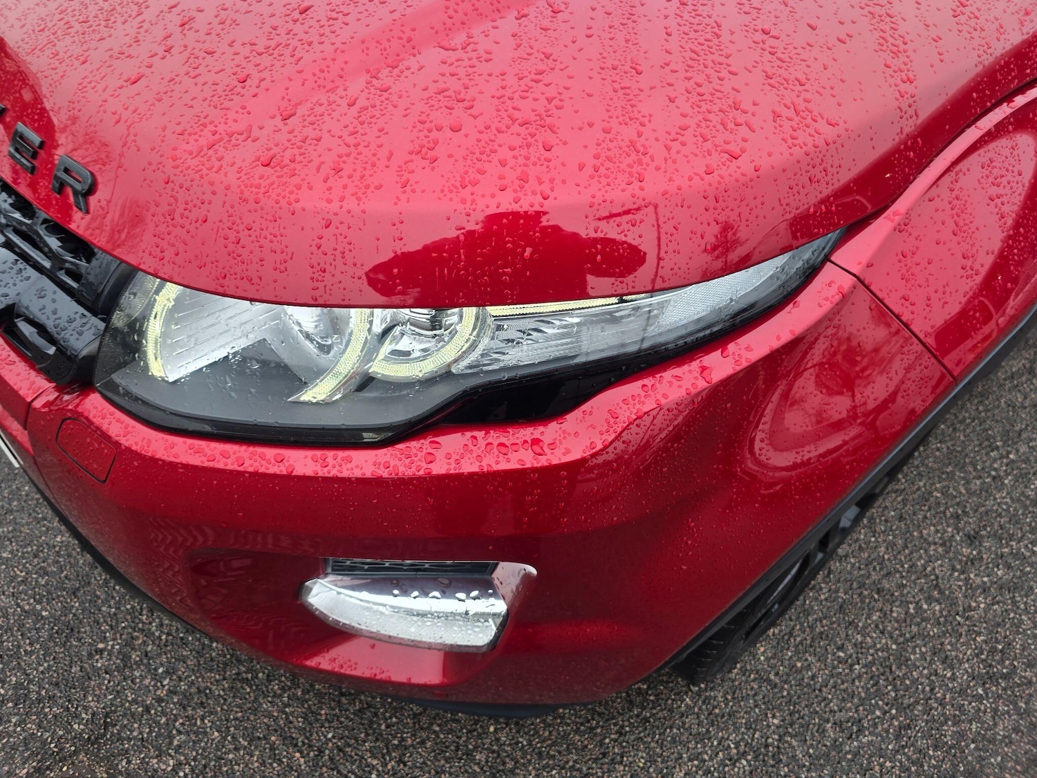 Used Land Rover Range Rover Evoque for sale - 77808238: Photo 76