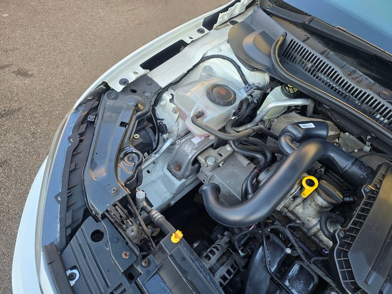 Used Volkswagen Polo 2018 for sale - 77120420: Photo 59