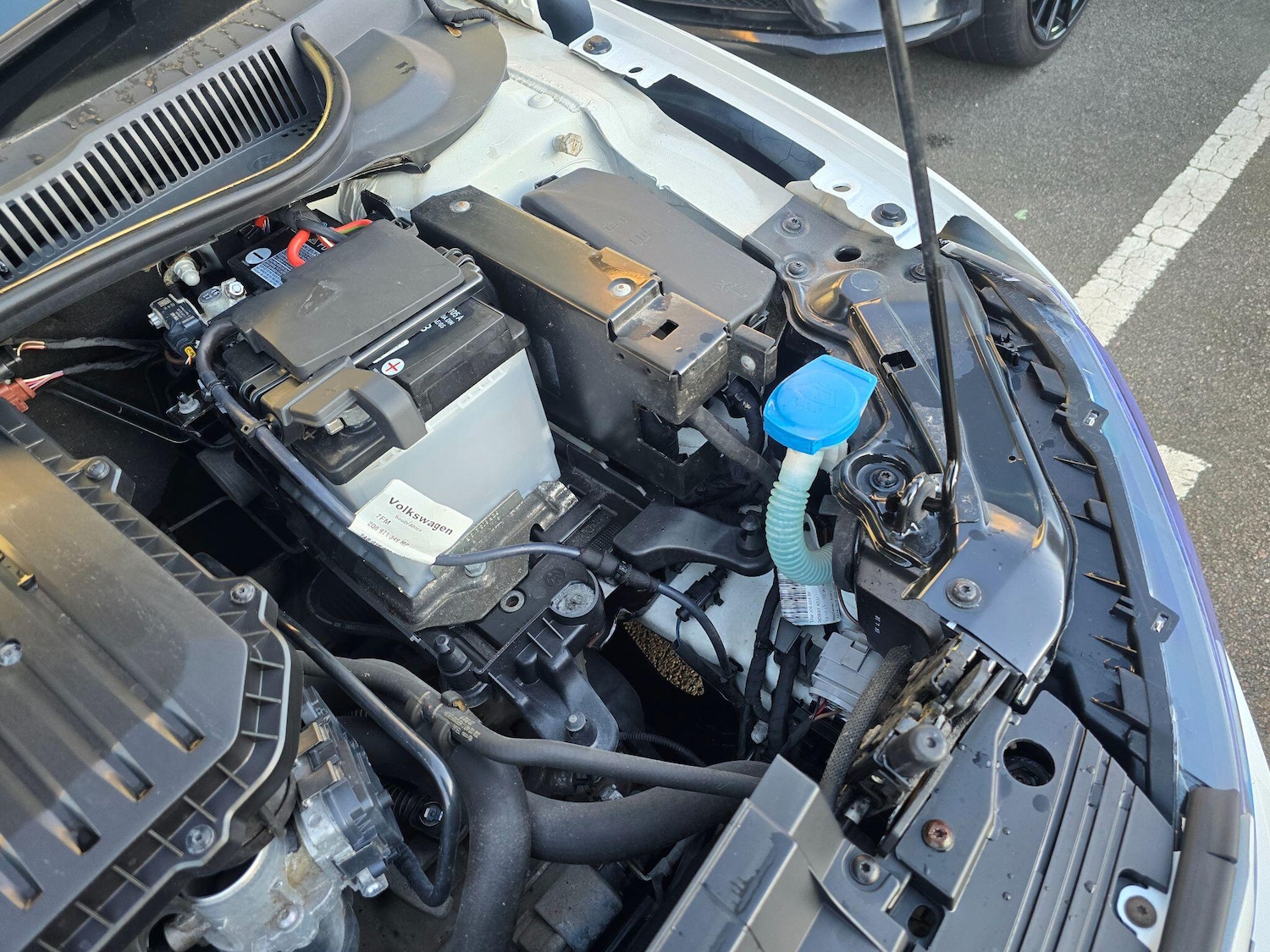 Used Volkswagen Polo 2018 for sale - 77120420: Photo 61