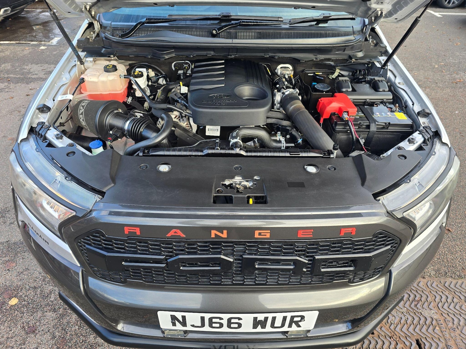 Used Ford Ranger 2016 for sale - 76561470: Photo 61