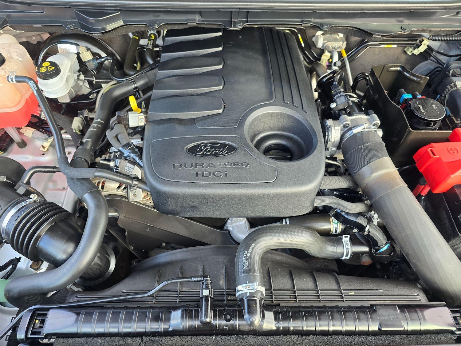 Used Ford Ranger 2016 for sale - 76561470: Photo 62