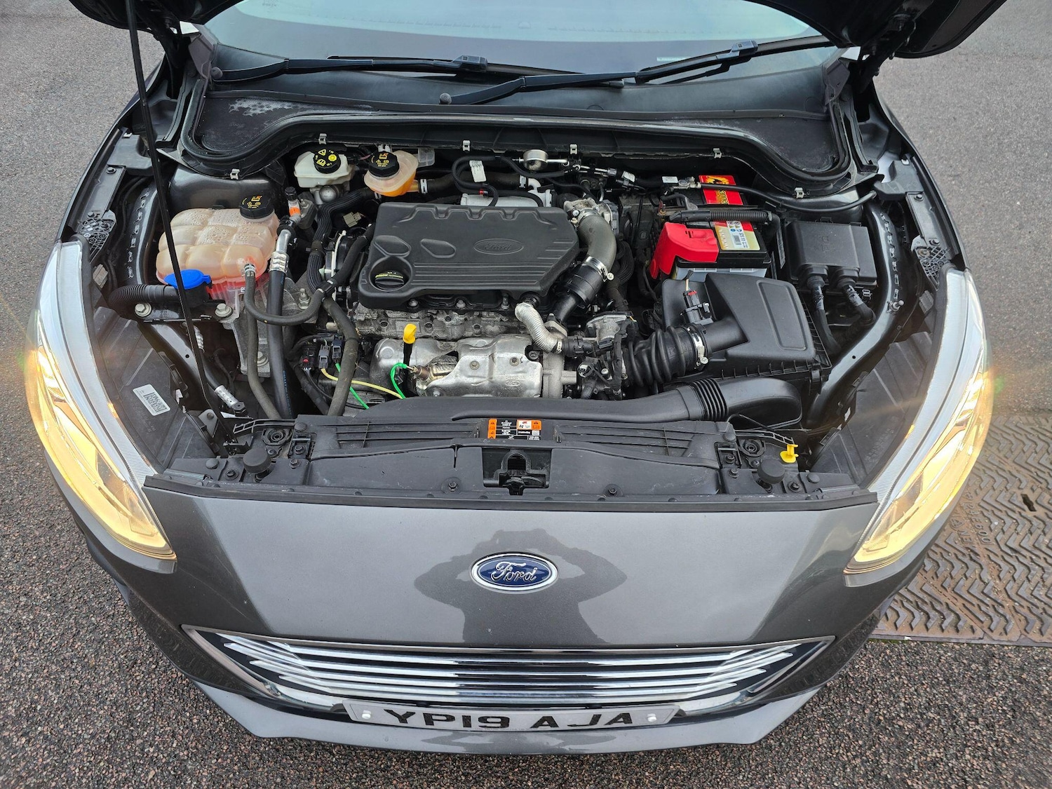 Used Ford Focus for sale - 76729031: Photo 57