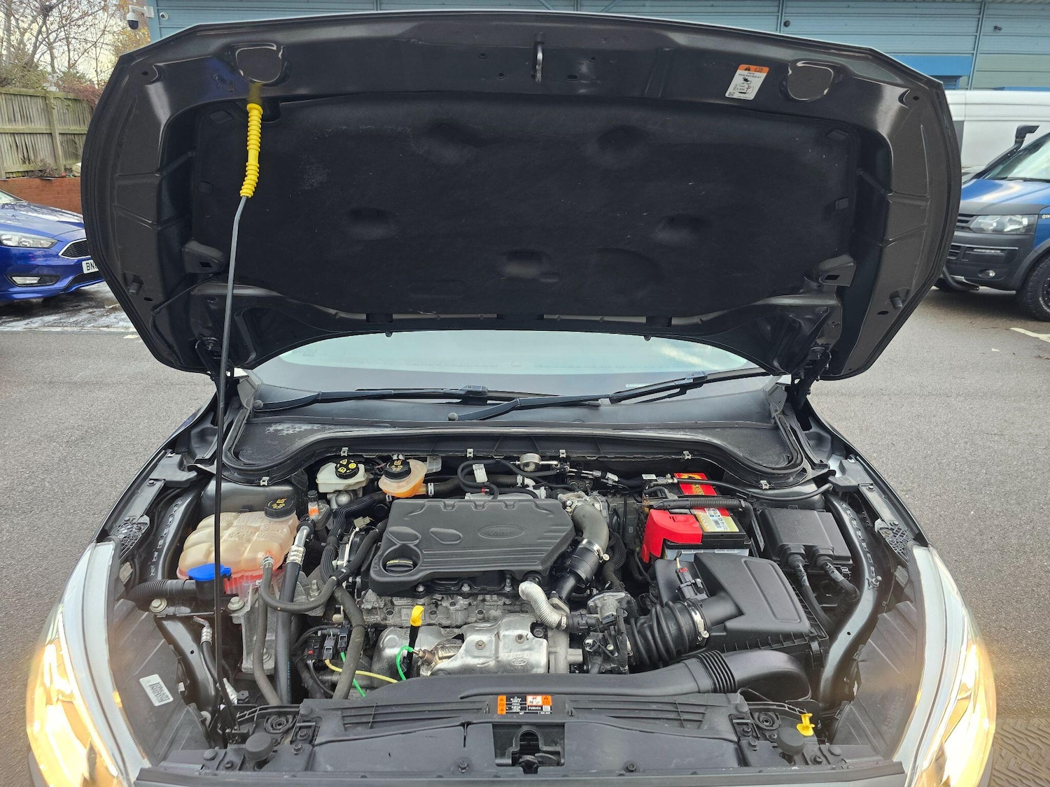 Used Ford Focus for sale - 76729031: Photo 61