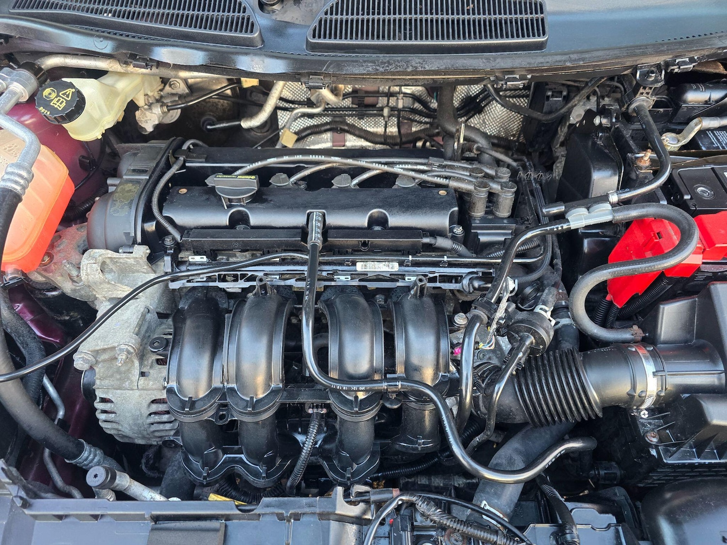 Used Ford Fiesta for sale - 77238359: Photo 57