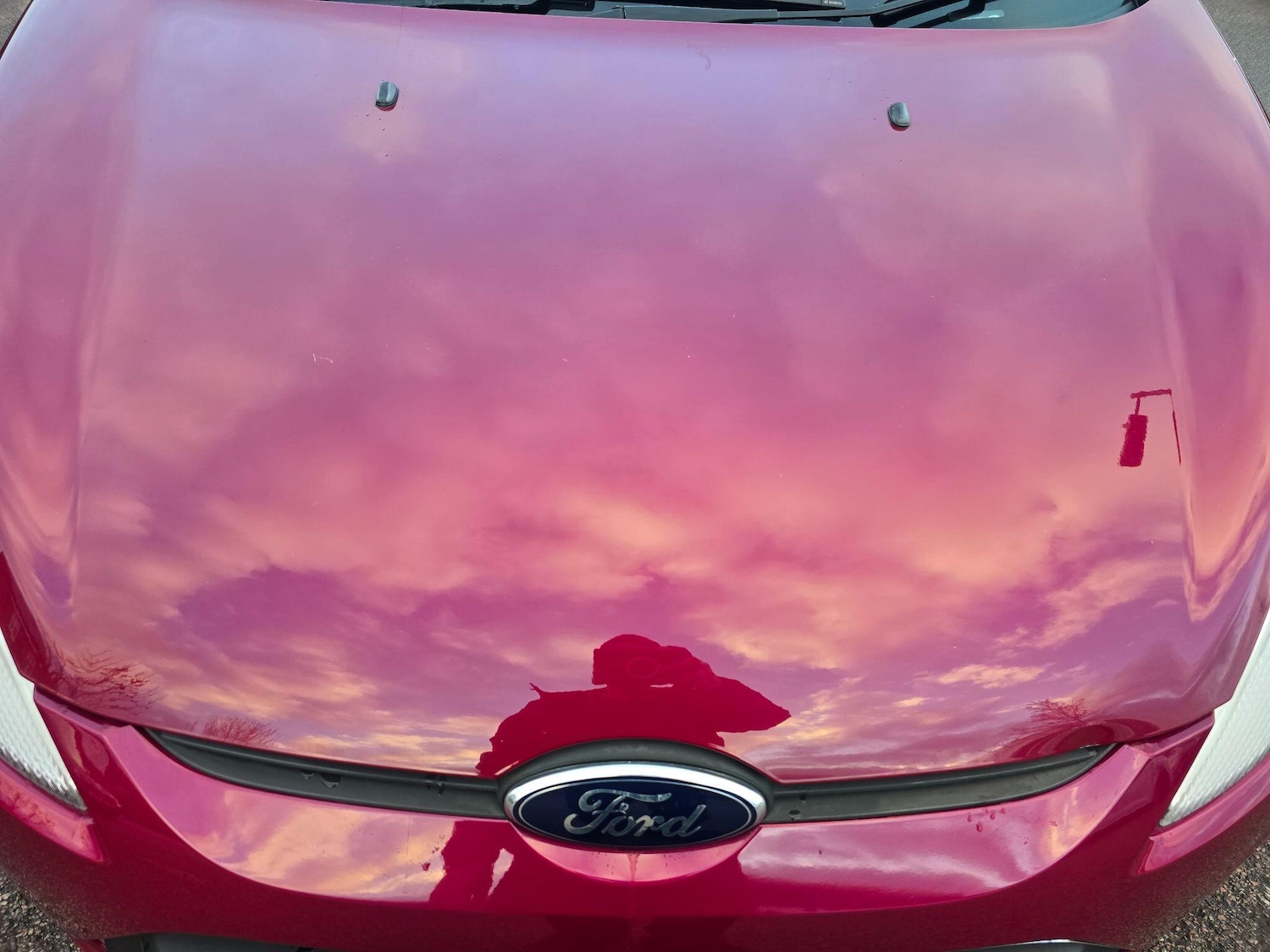 Used Ford Fiesta for sale - 77854231: Photo 74