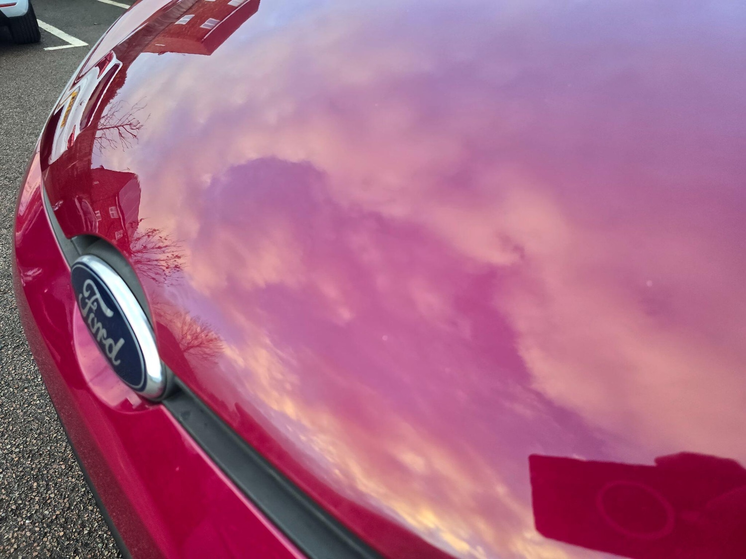 Used Ford Fiesta for sale - 77854231: Photo 96