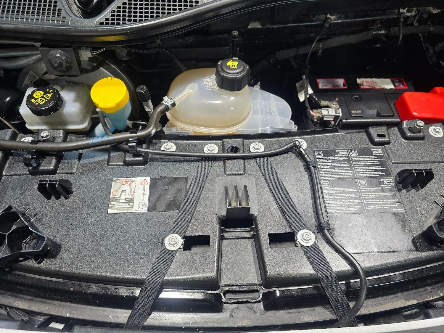 Used smart fortwo 2016 for sale - 77982425: Photo 39