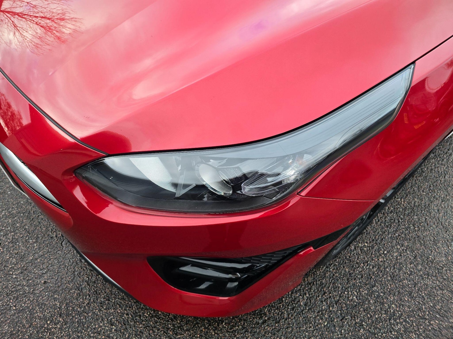 Used Kia Ceed for sale - 77705453: Photo 77