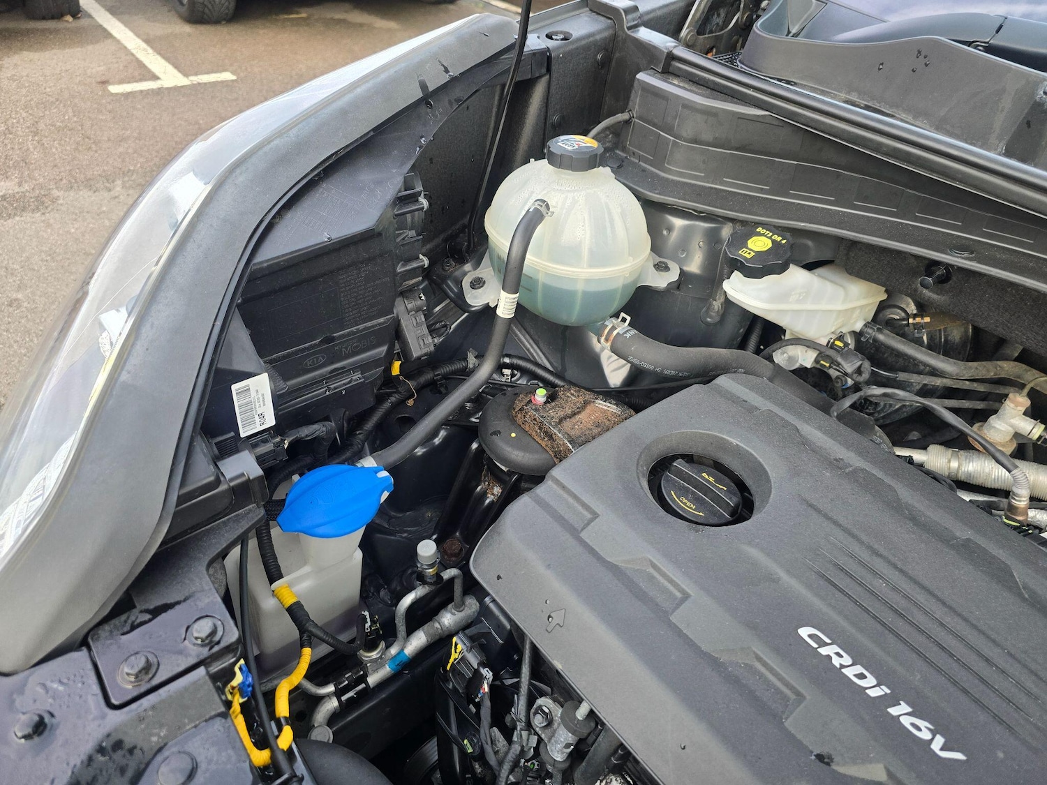 Used Kia Sportage 2016 for sale - 76936050: Photo 62