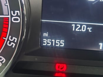 Used Skoda Octavia 2019 for sale - 79256117: Photo