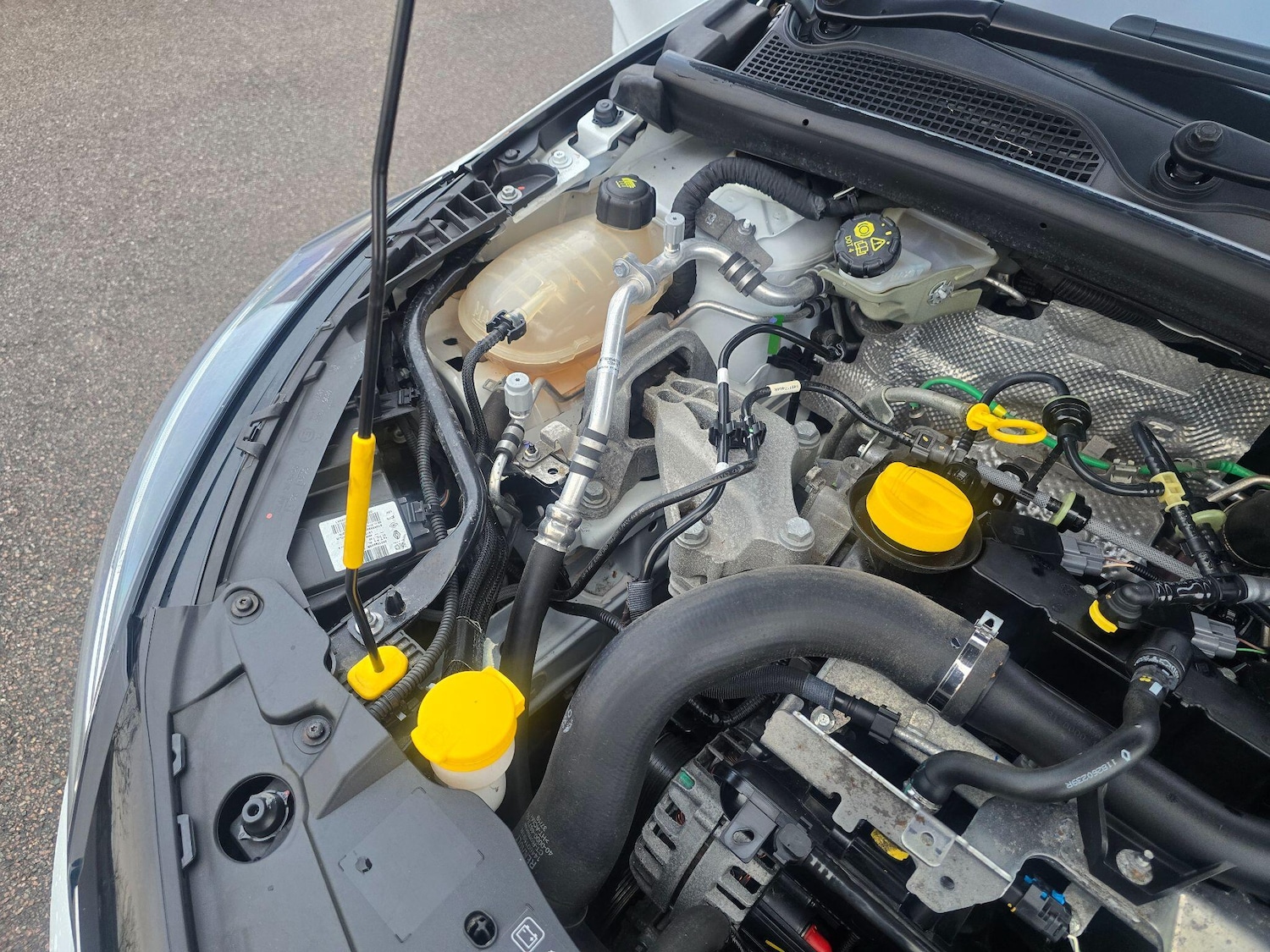 Used Renault Clio 2020 for sale - 77229617: Photo 61