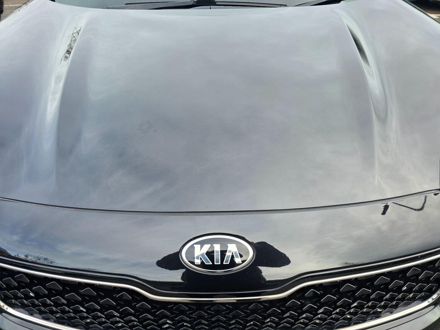 Used Kia Sportage 2016 for sale - 77468292: Photo 72