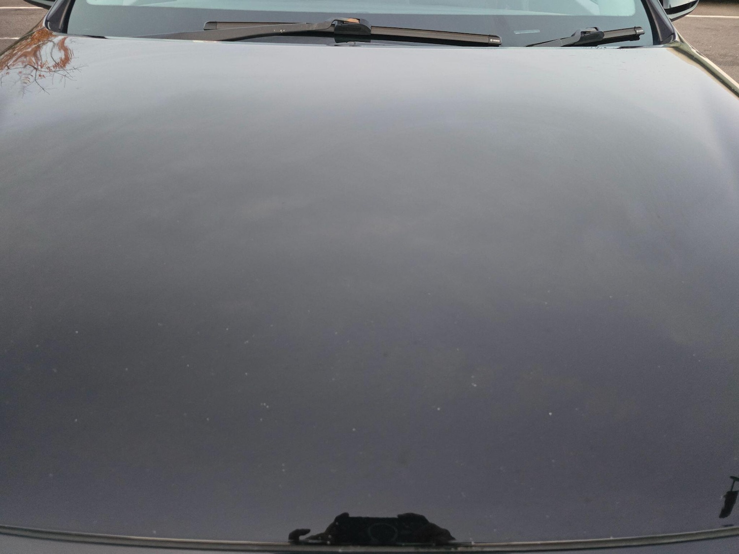 Used Hyundai i30 2019 for sale - 76446671: Photo 74