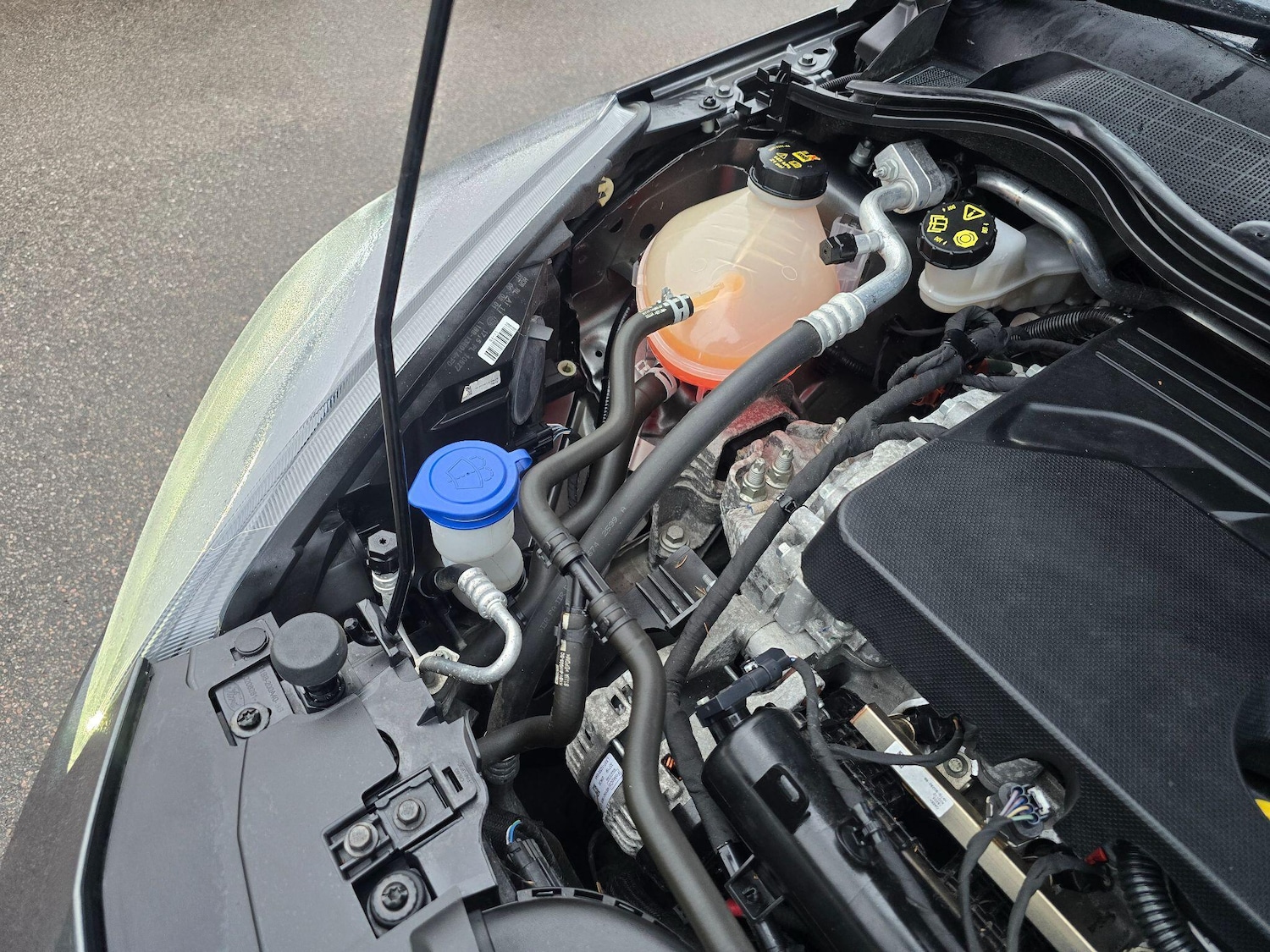 Used Ford Fiesta 2020 for sale - 77612043: Photo 61