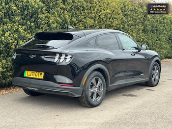 Used Ford Mustang Mach-E 2021 for sale - 77041511: Photo