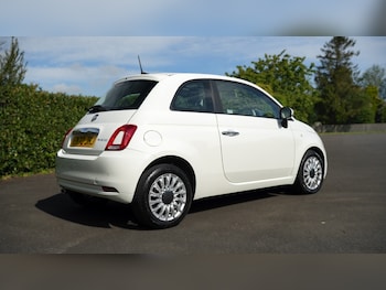 Used Fiat 500 2021 for sale - 78485925: Photo