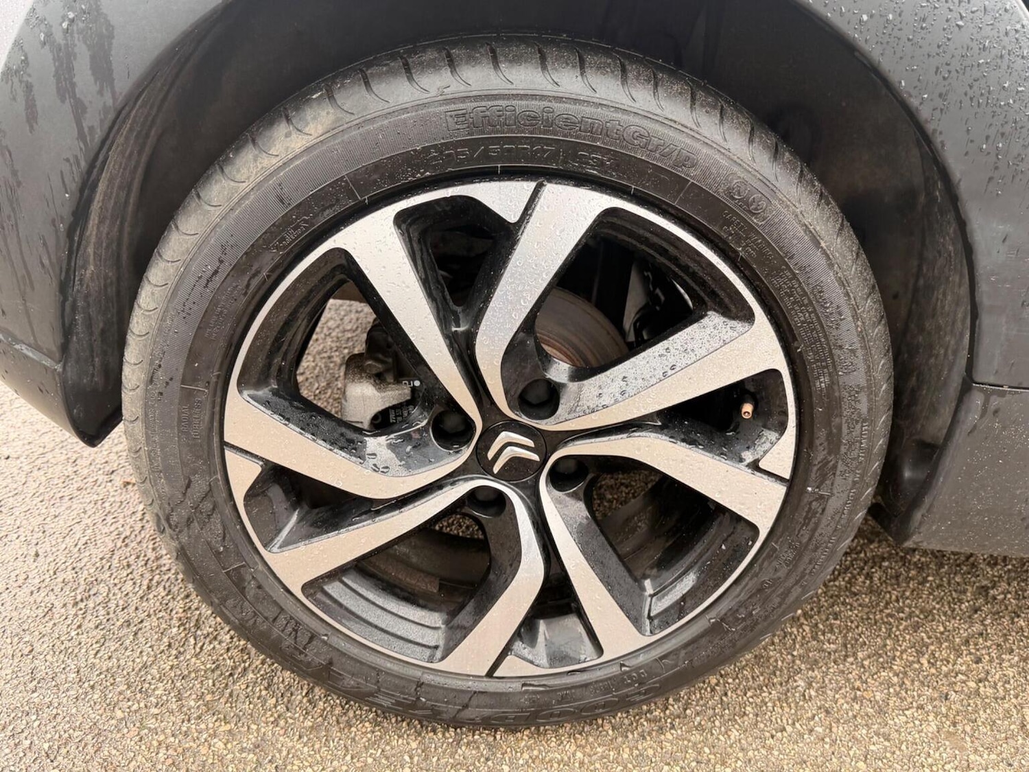 Used Citroen C3 2023 for sale - 77522056: Photo 29