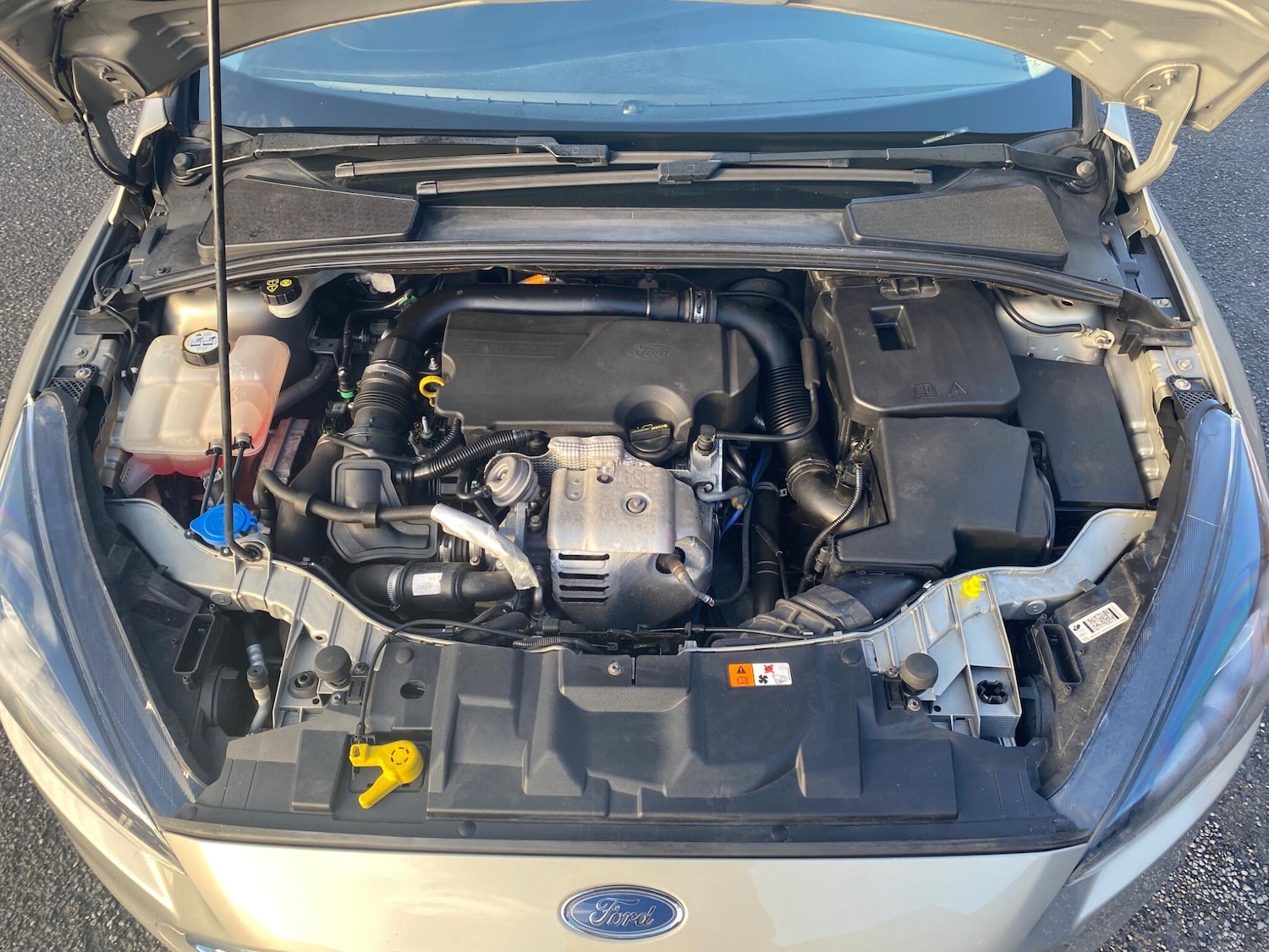 Used Ford Focus 2015 for sale - 76786766: Photo 28