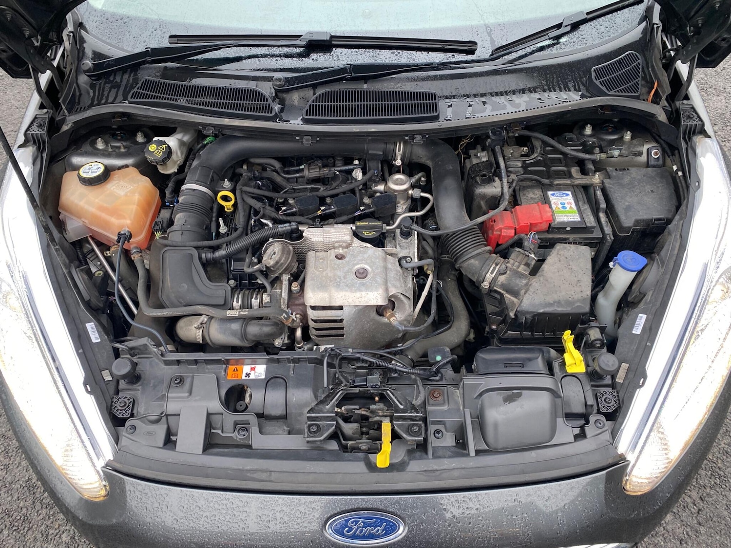 Used Ford Fiesta 2015 for sale - 77040357: Photo 29