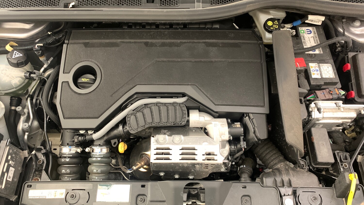 Used Peugeot 2008 2024 for sale - 77569762: Photo 21