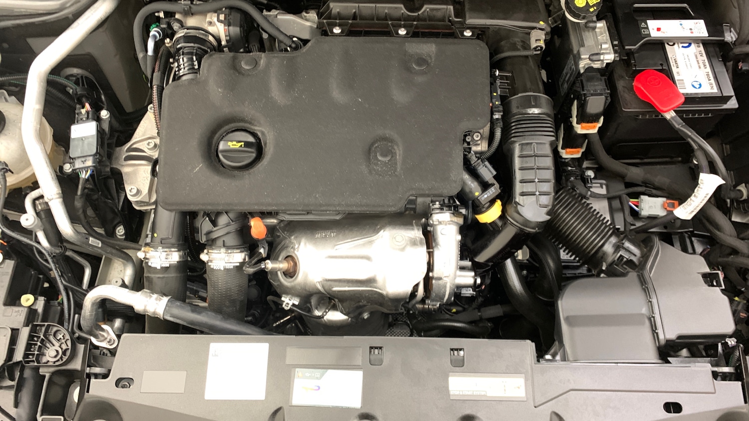 Used Peugeot 308 2025 for sale - 76621401: Photo 21