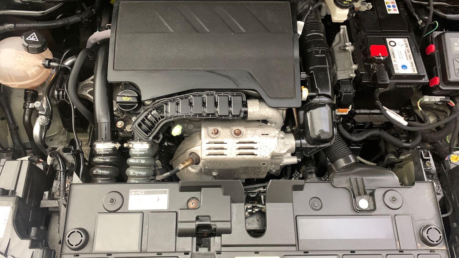 Used Citroen C4 2022 for sale - 76702988: Photo 21