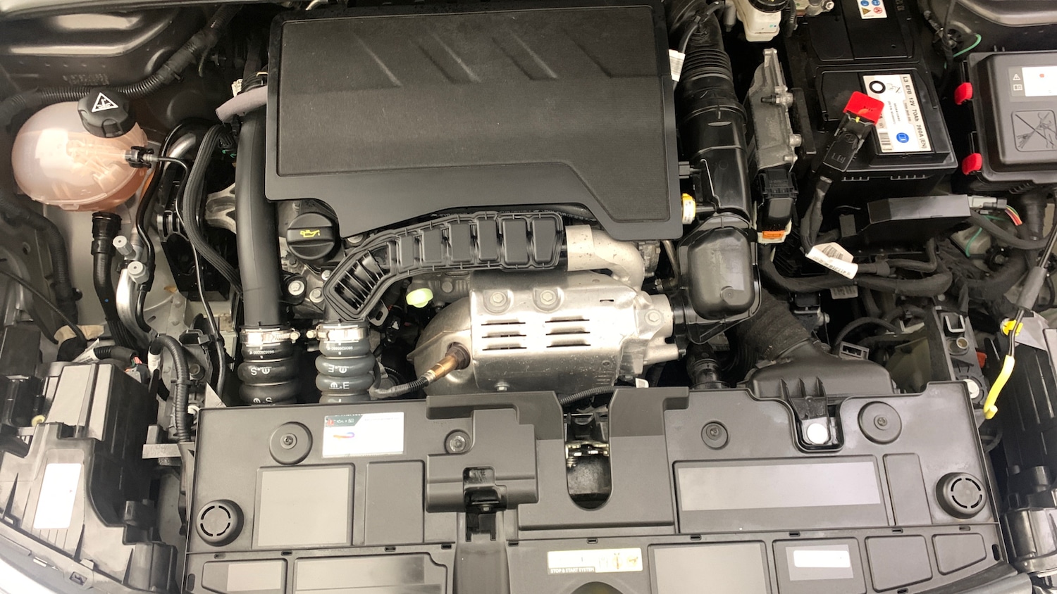 Used Citroen C4 2024 for sale - 76887942: Photo 21