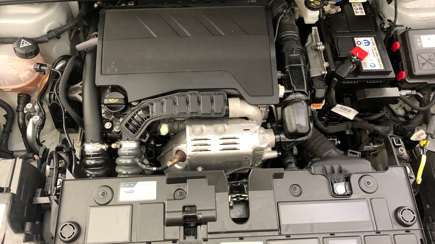 Used Citroen C4 2024 for sale - 76621460: Photo 21