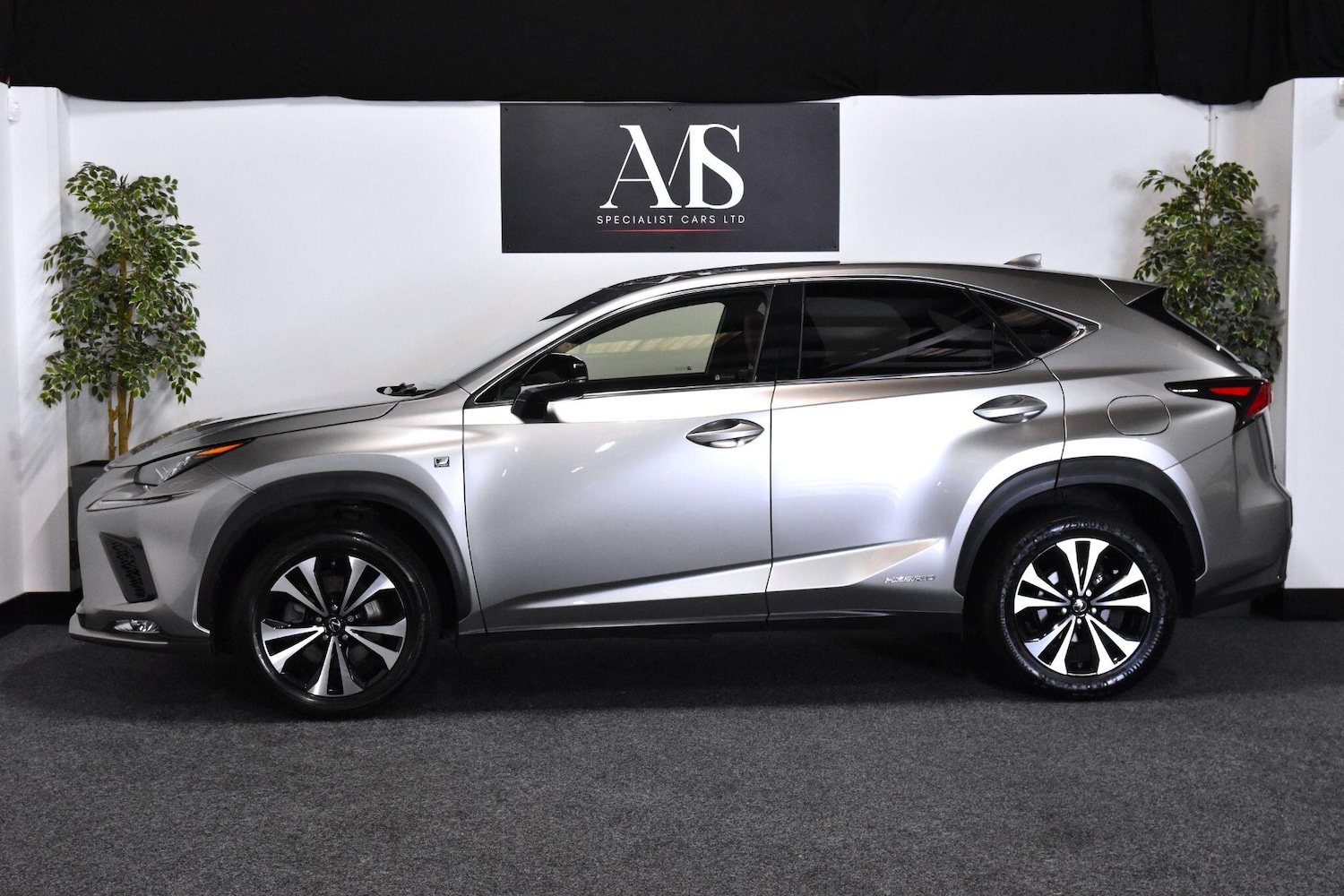 Used Lexus NX for sale - 77359212: Photo 2
